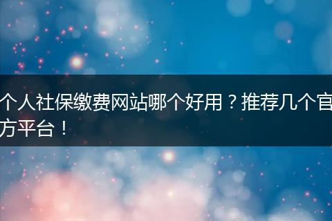 个人社保缴费网站哪个好用？推荐几个官方平台！