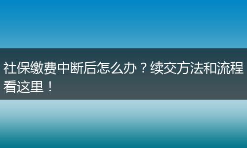 社保缴费中断后怎么办？续交方法和流程看这里！