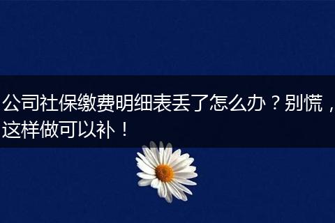 公司社保缴费明细表丢了怎么办？别慌，这样做可以补！