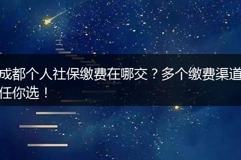 成都个人社保缴费在哪交？多个缴费渠道任你选！