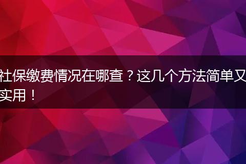 社保缴费情况在哪查？这几个方法简单又实用！