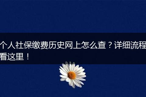 个人社保缴费历史网上怎么查？详细流程看这里！
