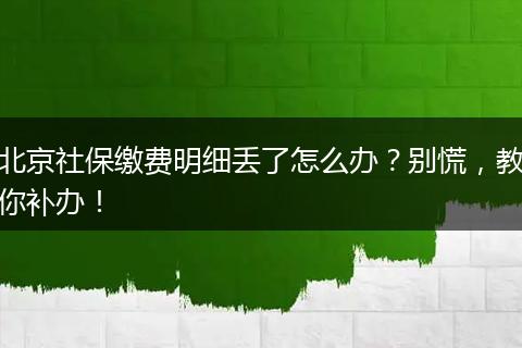北京社保缴费明细丢了怎么办？别慌，教你补办！