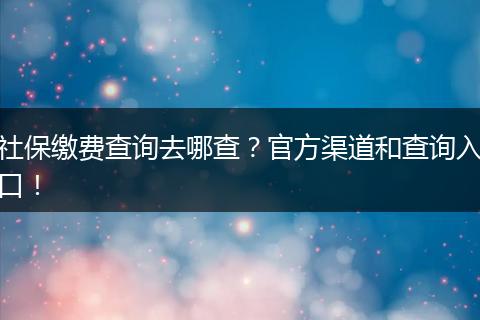 社保缴费查询去哪查？官方渠道和查询入口！