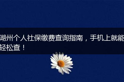 湖州个人社保缴费查询指南，手机上就能轻松查！