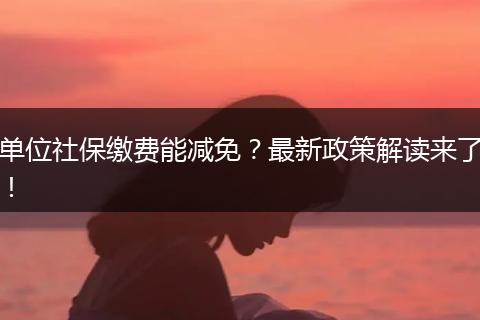 单位社保缴费能减免？最新政策解读来了！