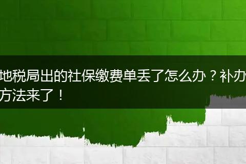 地税局出的社保缴费单丢了怎么办？补办方法来了！