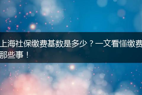 上海社保缴费基数是多少？一文看懂缴费那些事！