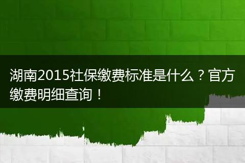 湖南2015社保缴费标准是什么？官方缴费明细查询！