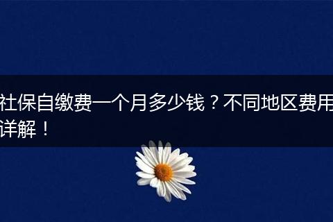 社保自缴费一个月多少钱？不同地区费用详解！