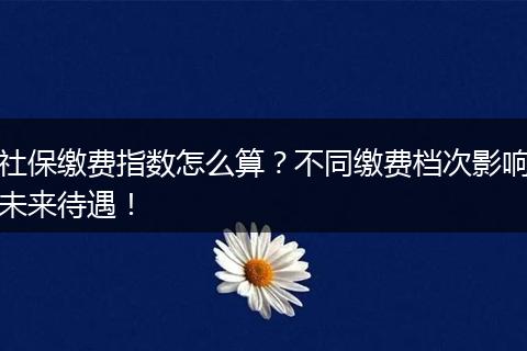 社保缴费指数怎么算？不同缴费档次影响未来待遇！