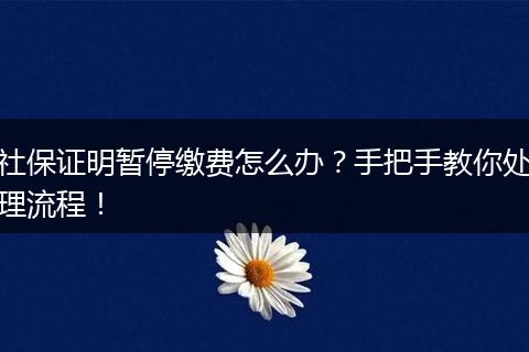社保证明暂停缴费怎么办？手把手教你处理流程！