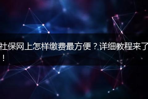 社保网上怎样缴费最方便？详细教程来了！