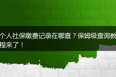 个人社保缴费记录在哪查？保姆级查询教程来了！