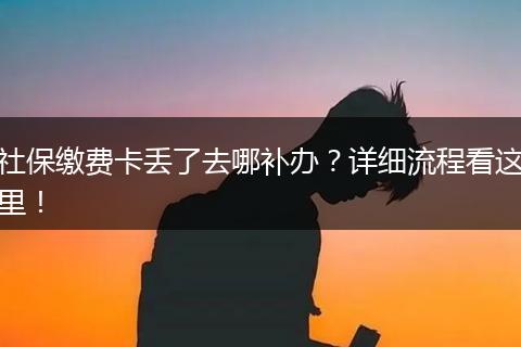 社保缴费卡丢了去哪补办？详细流程看这里！