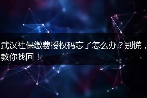 武汉社保缴费授权码忘了怎么办？别慌，教你找回！