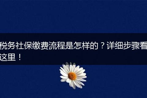 税务社保缴费流程是怎样的？详细步骤看这里！