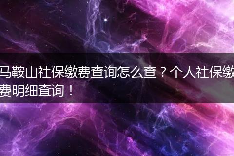 马鞍山社保缴费查询怎么查？个人社保缴费明细查询！