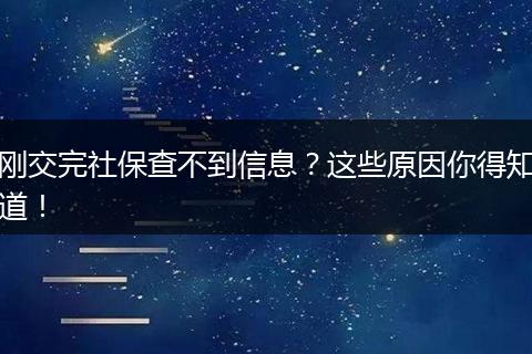 刚交完社保查不到信息？这些原因你得知道！