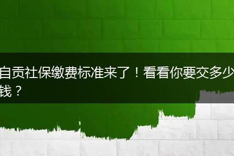 自贡社保缴费标准来了！看看你要交多少钱？
