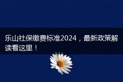 乐山社保缴费标准2024，最新政策解读看这里！