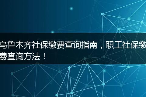 乌鲁木齐社保缴费查询指南，职工社保缴费查询方法！