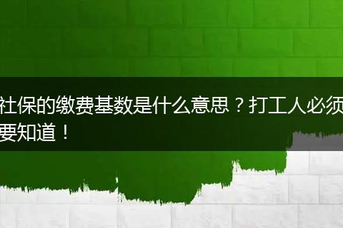 社保的缴费基数是什么意思？打工人必须要知道！