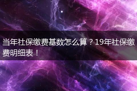当年社保缴费基数怎么算？19年社保缴费明细表！