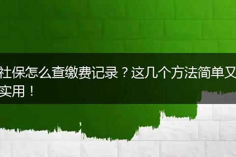 社保怎么查缴费记录？这几个方法简单又实用！