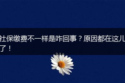 社保缴费不一样是咋回事？原因都在这儿了！