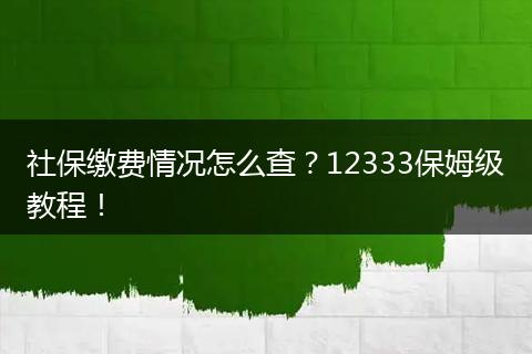 社保缴费情况怎么查？12333保姆级教程！