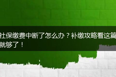 社保缴费中断了怎么办？补缴攻略看这篇就够了！