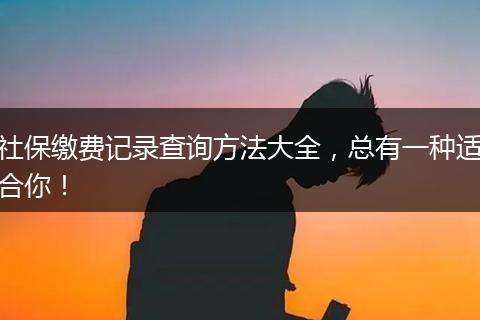 社保缴费记录查询方法大全，总有一种适合你！