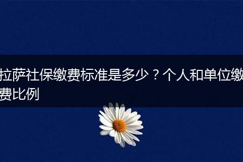 拉萨社保缴费标准是多少？个人和单位缴费比例