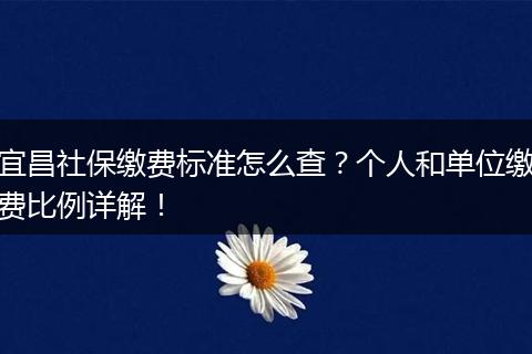 宜昌社保缴费标准怎么查？个人和单位缴费比例详解！