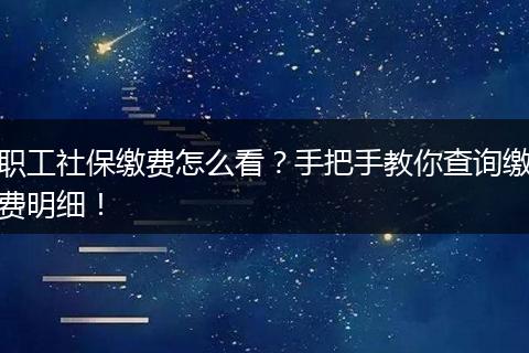 职工社保缴费怎么看？手把手教你查询缴费明细！