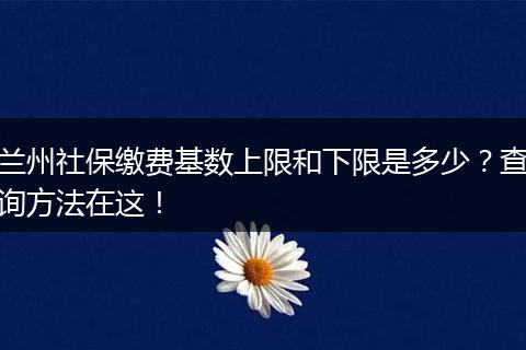 兰州社保缴费基数上限和下限是多少？查询方法在这！