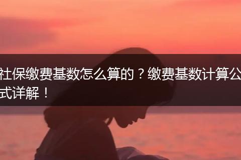 社保缴费基数怎么算的？缴费基数计算公式详解！