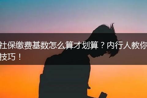 社保缴费基数怎么算才划算？内行人教你技巧！