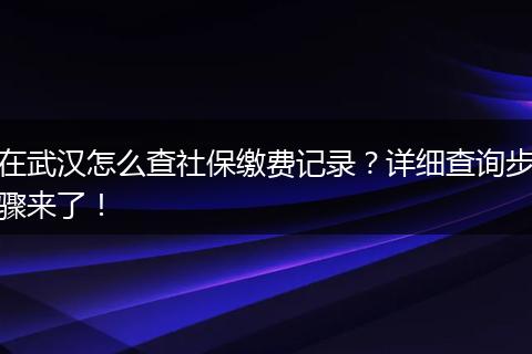 在武汉怎么查社保缴费记录？详细查询步骤来了！