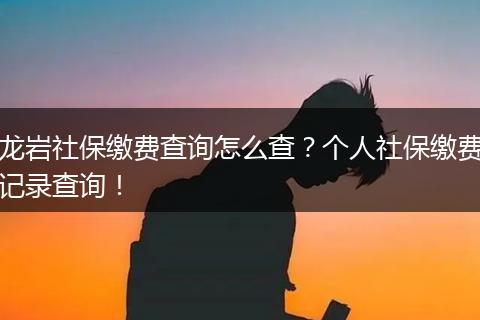 龙岩社保缴费查询怎么查？个人社保缴费记录查询！