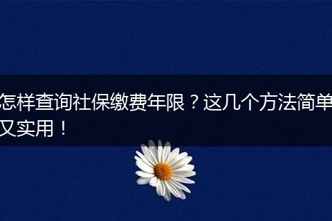 怎样查询社保缴费年限？这几个方法简单又实用！