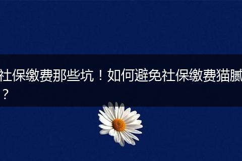 社保缴费那些坑！如何避免社保缴费猫腻？