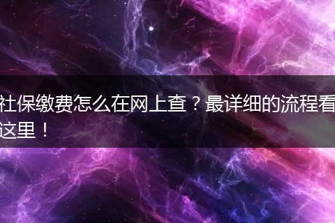 社保缴费怎么在网上查？最详细的流程看这里！