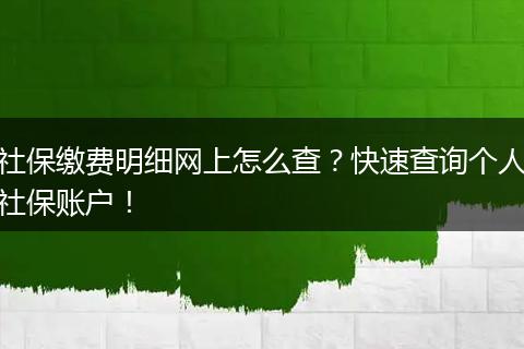 社保缴费明细网上怎么查？快速查询个人社保账户！