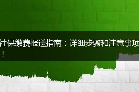 社保缴费报送指南：详细步骤和注意事项！