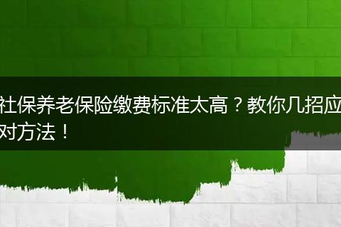 社保养老保险缴费标准太高？教你几招应对方法！