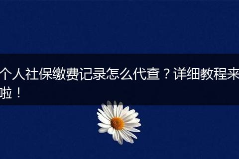 个人社保缴费记录怎么代查？详细教程来啦！