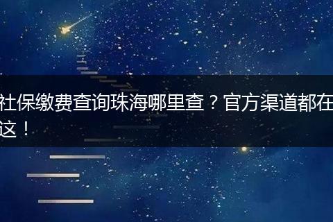 社保缴费查询珠海哪里查？官方渠道都在这！