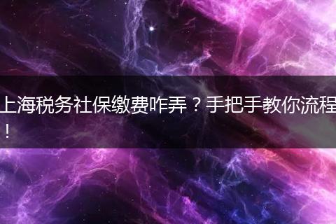 上海税务社保缴费咋弄？手把手教你流程！
